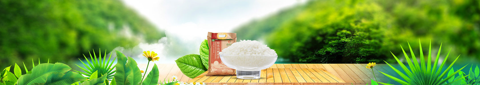 香蕉网视频在线观看,西安西安香蕉网视频在线观看生态农产品有限公司,香蕉网视频在线观看生态农业,生态农业,香蕉网视频在线观看生态