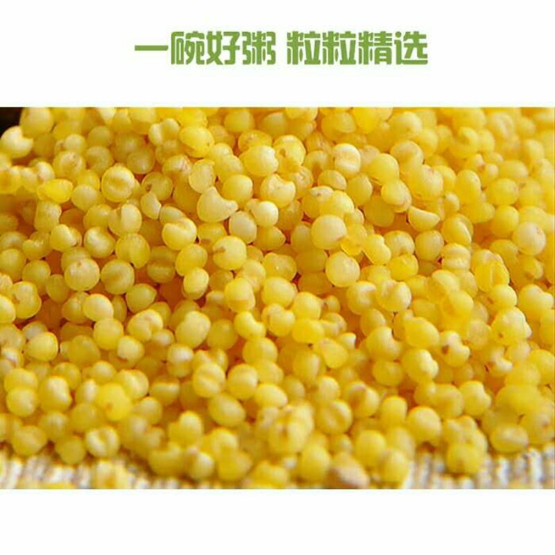 香蕉视频下载入口